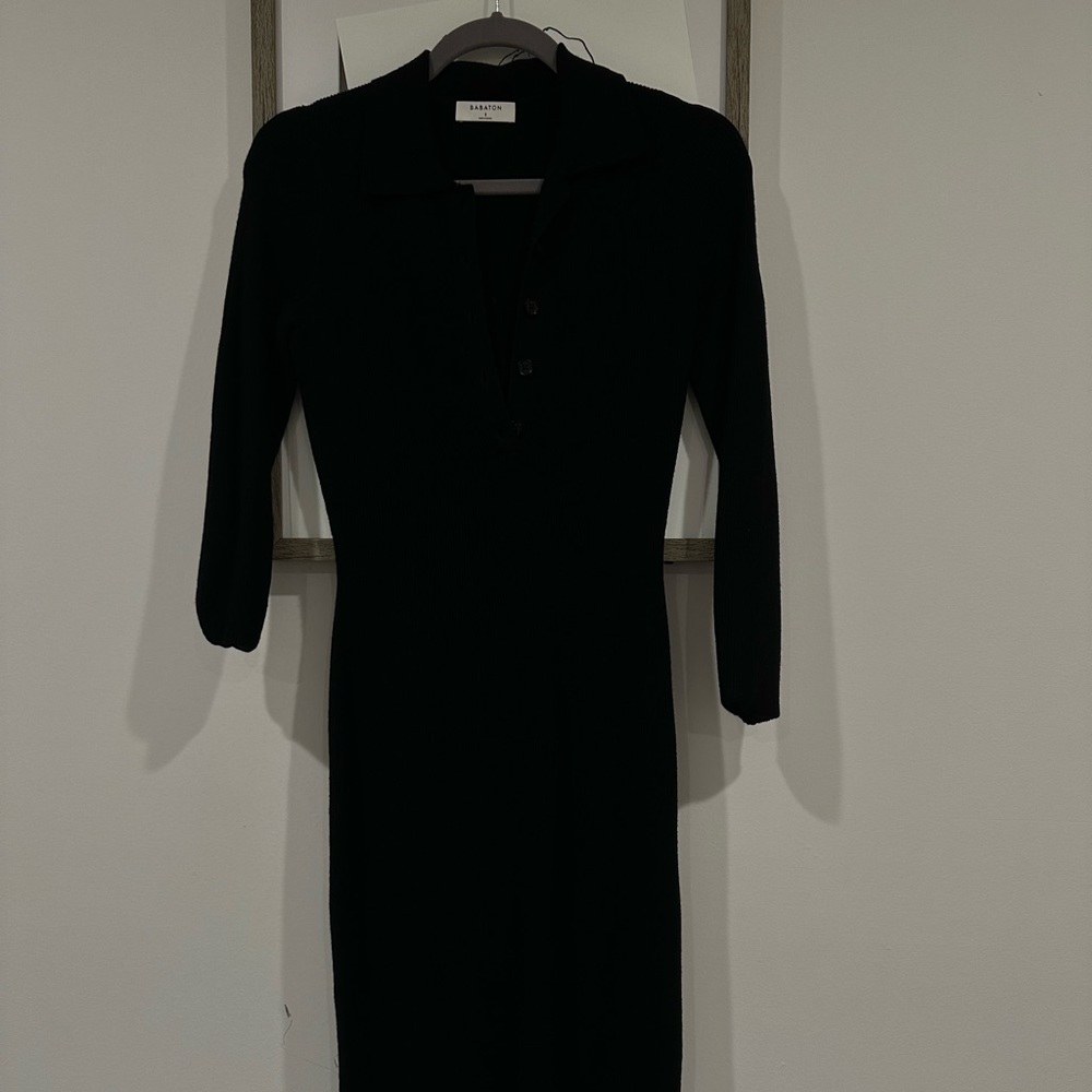 Aritzia babaton dress